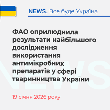 ФАО оприлюднила результати найбільшого дослідження використання антимікробних препаратів у сфері тваринництва України